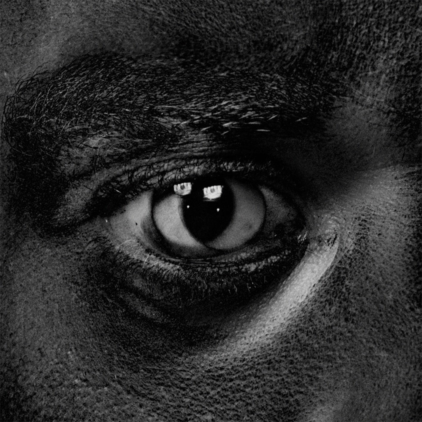Wiley - Evolve Or Be Extinct | CD
