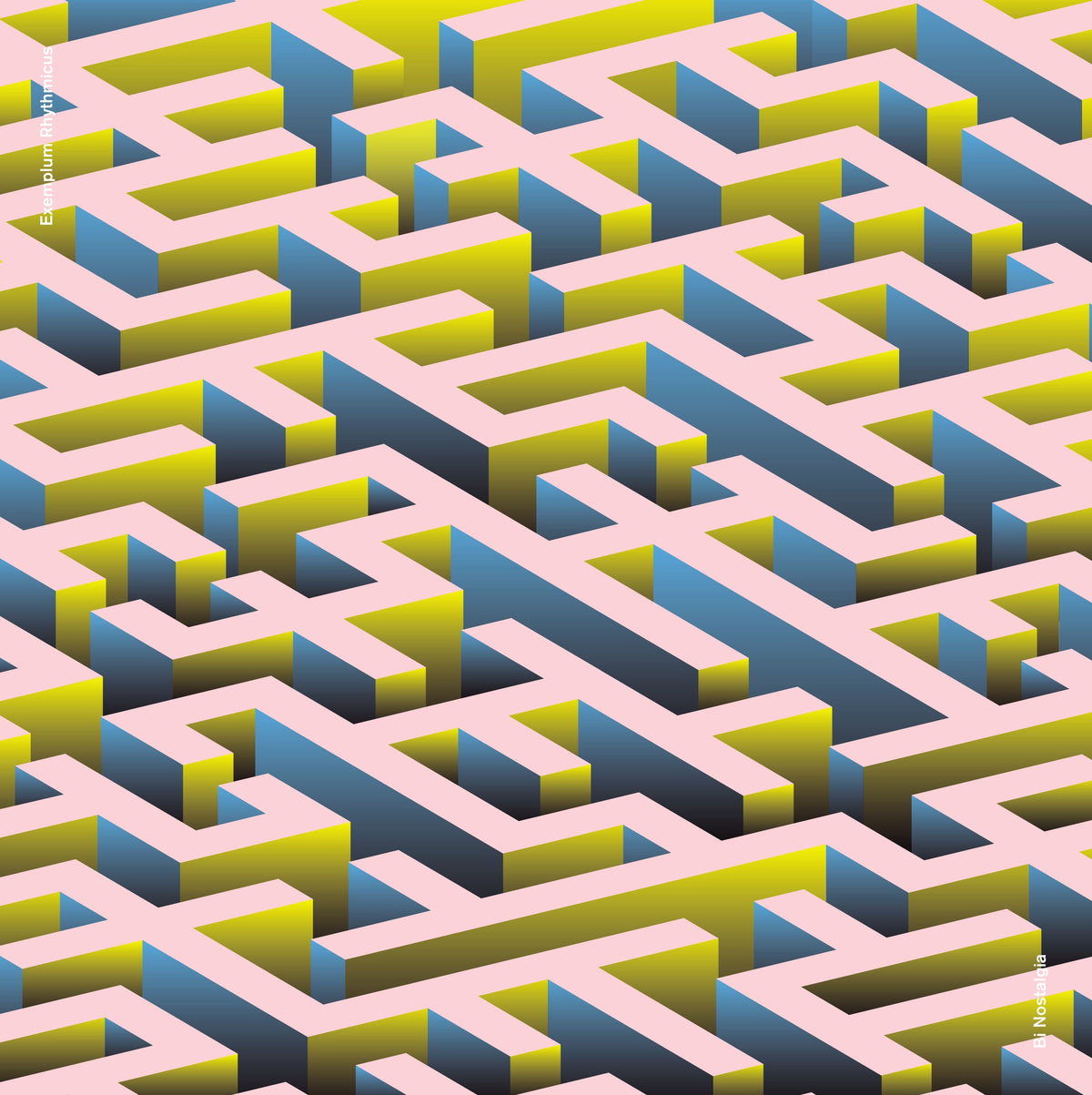 Bi Nostalgia - Exemplum Rhythmicus | Vinyl