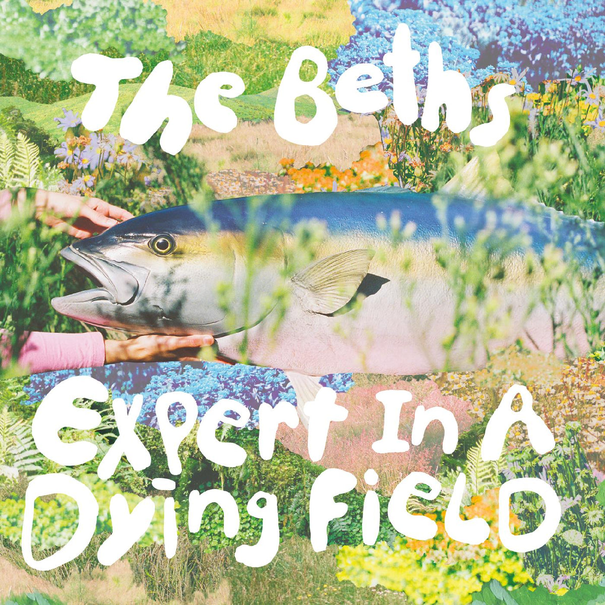 The Beths - Expert In A Dying Field (EVERGREEN VINYL) | Vinyl