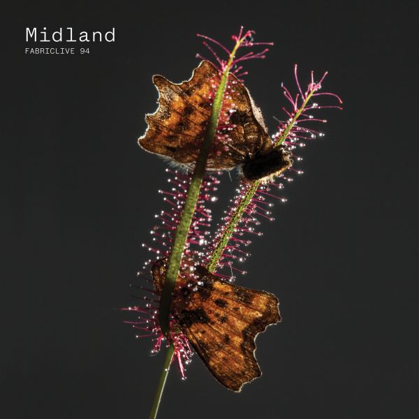 Midland - Fabriclive 94 : | CD