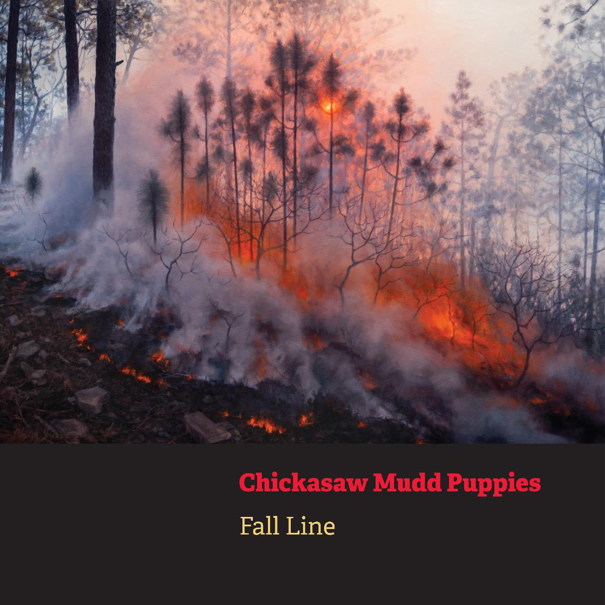 Chickasaw Mudd Puppies - Fall Line | CD