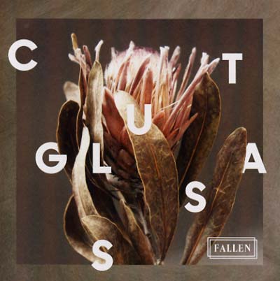 CUT GLASS - Fallen | CD