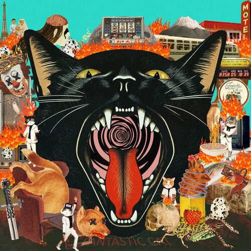 Fantastic Cat - Cat Out Of Hell | Vinyl