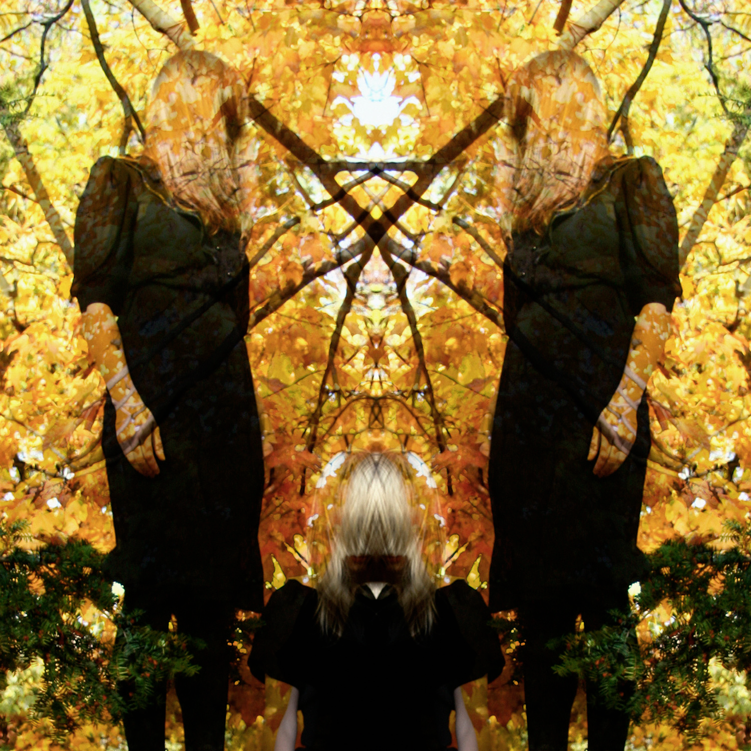 Austra - Feel It Break | CD