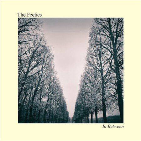 Feelies - In Between (Digital Download Card) | Vinyl