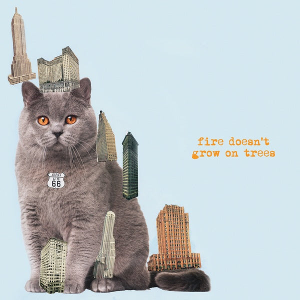 THE BRIAN JONESTOWN MASSACRE | Fire Doesn't Grow On Trees | CD