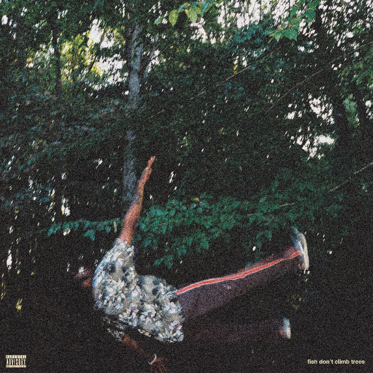 Chester Watson - fish don't climb trees | Vinyl