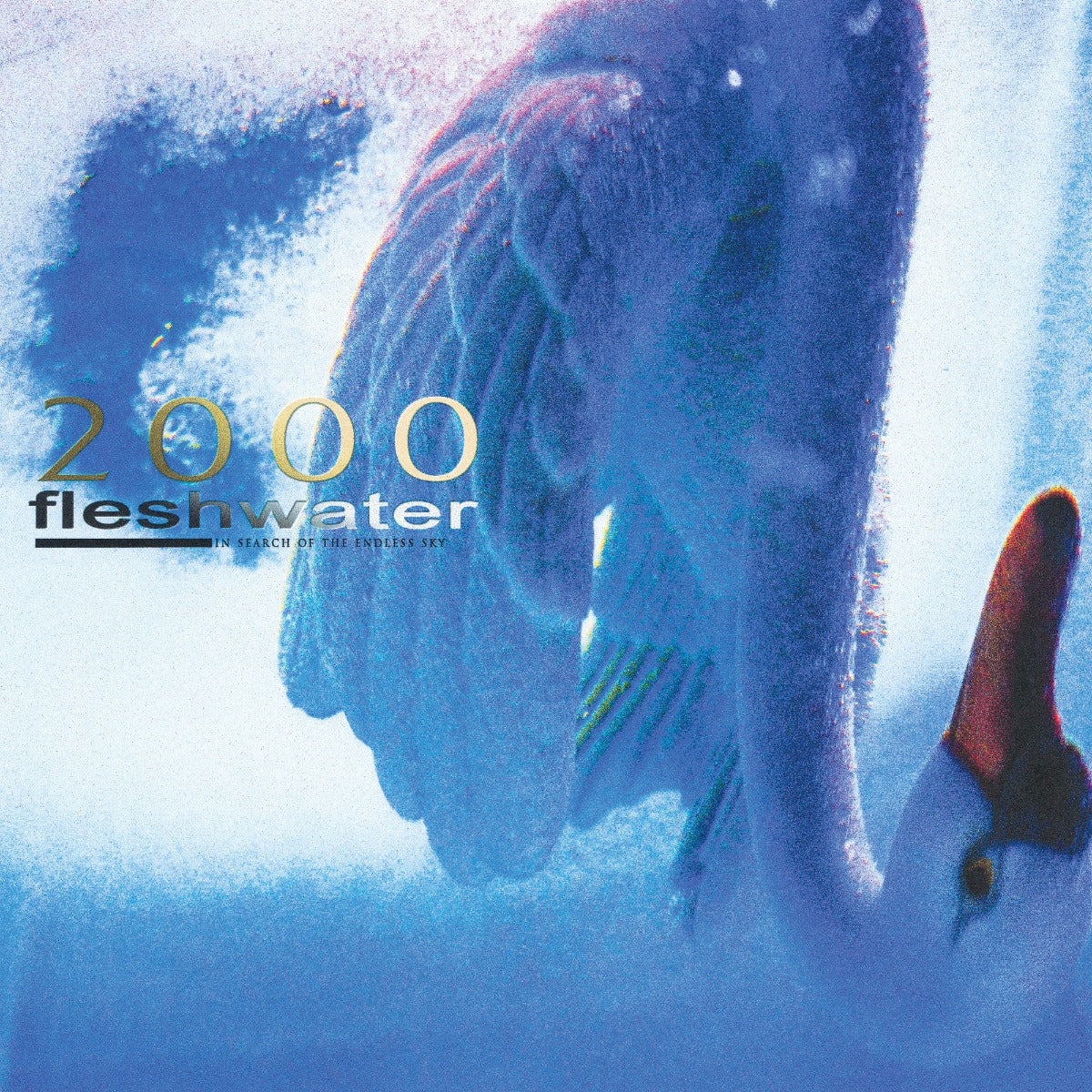 Fleshwater | 2000: In Search Of The Endless Sky (Metallic Blue Vinyl) | Vinyl