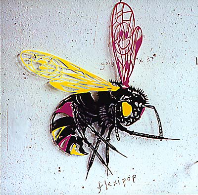 VA - Flexipop | CD
