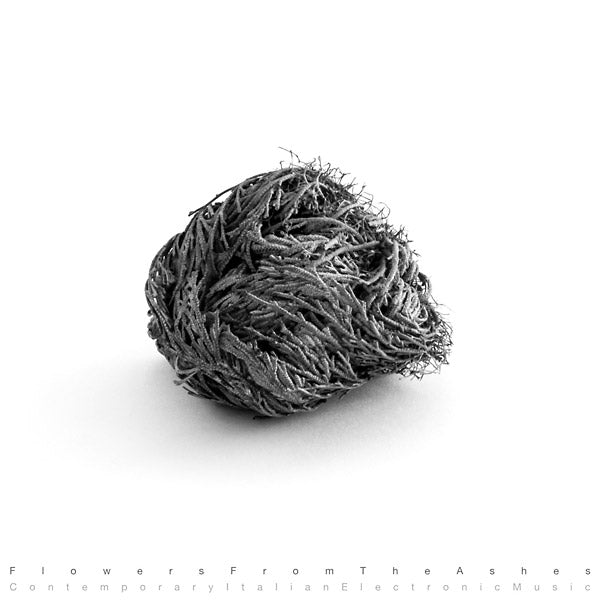 VA - Flowers From The Ashes: Contemporary Italian Electronic Music | Vinyl