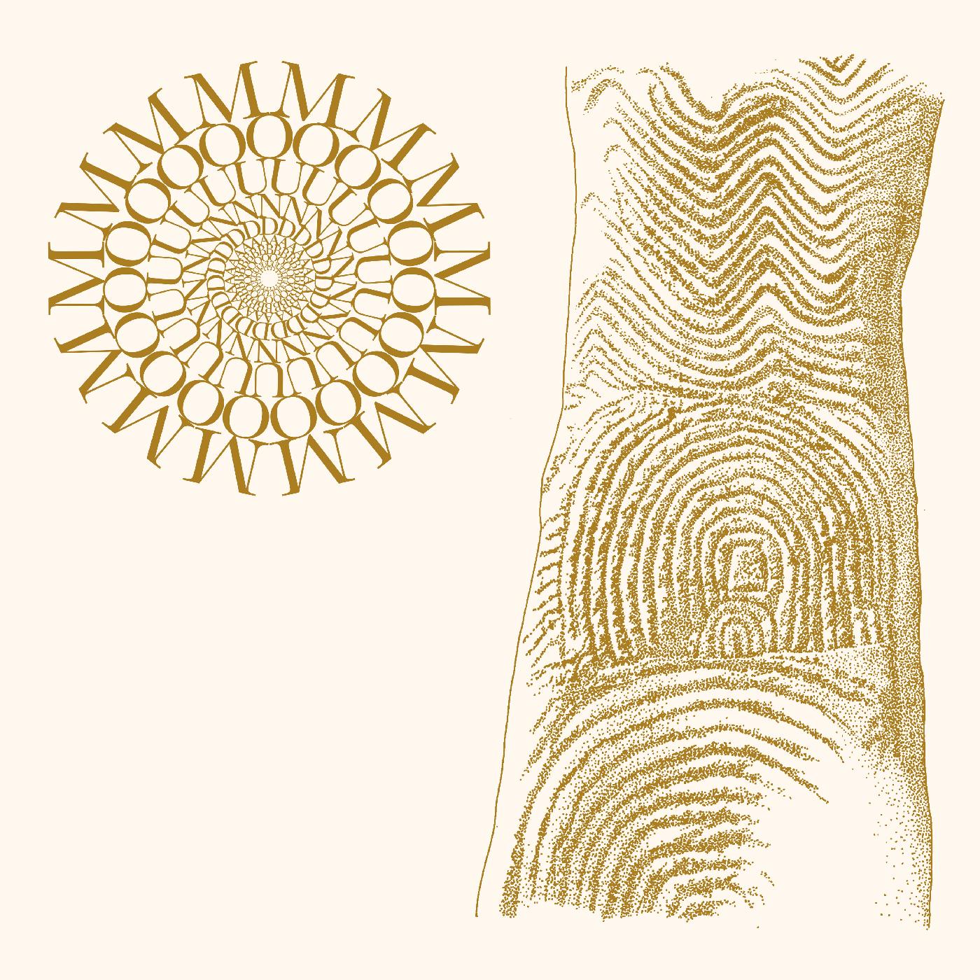 Moundabout | Flowers Rot, Bring Me Stones (BROWN & CLEAR SPECKLE VINYL) | Vinyl