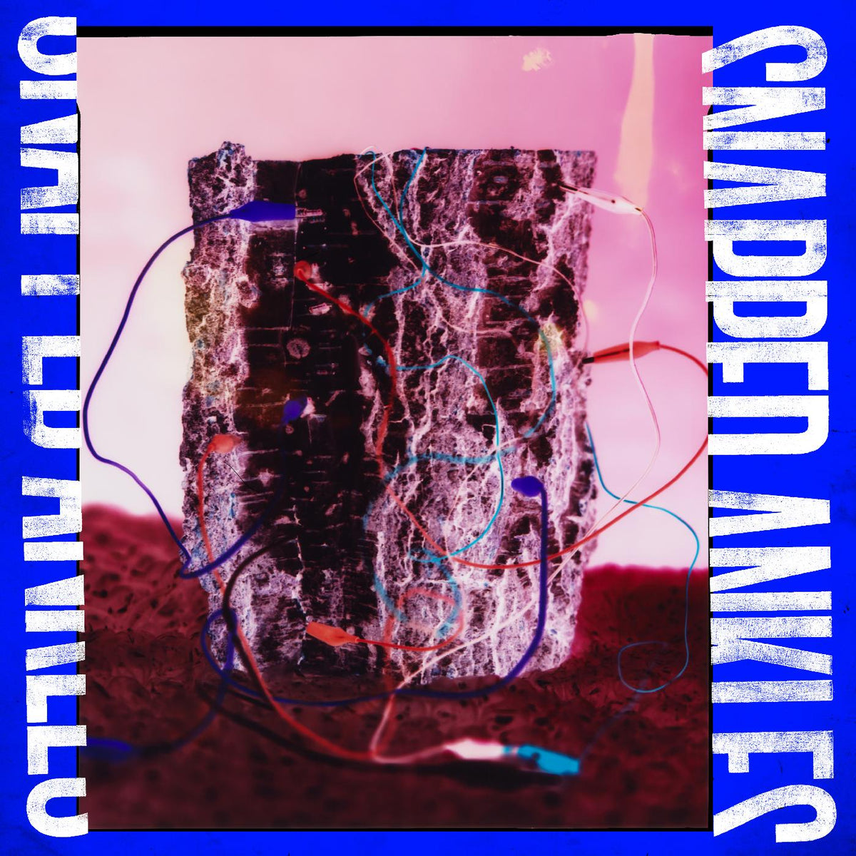 Snapped Ankles - Forest Of Your Problems | CD