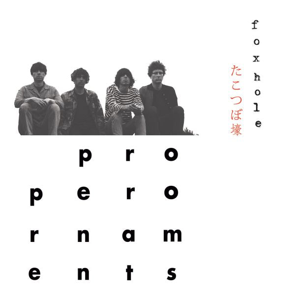 The Proper Ornaments - Foxhole | CD