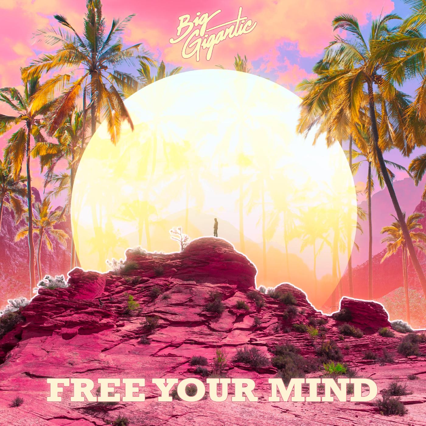 Big Gigantic - Free Your Mind | CD