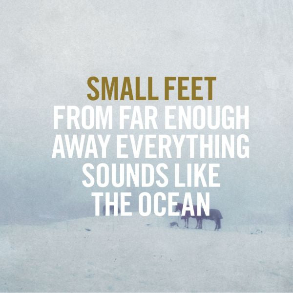 Small Feet - From Far Enough Away Everything Sounds Like The Ocean | Vinyl