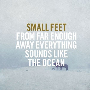 Small Feet - From Far Enough Away Everything Sounds Like The Ocean | CD