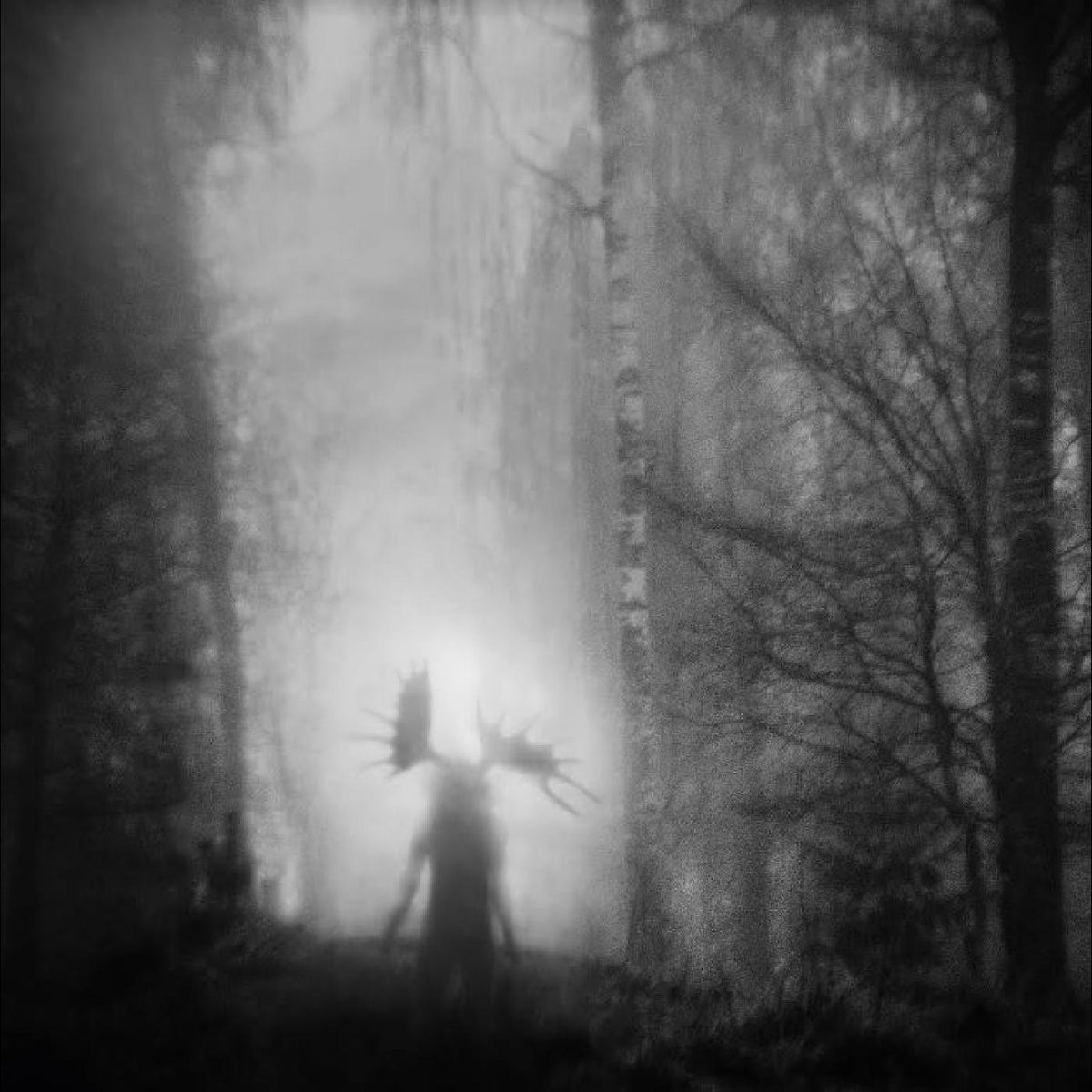 Iterum Nata - From the Infinite Light | Vinyl