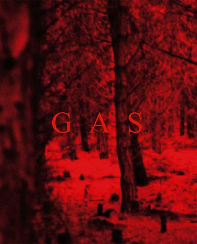 WOLFGANG VOIGT - Gas | Book