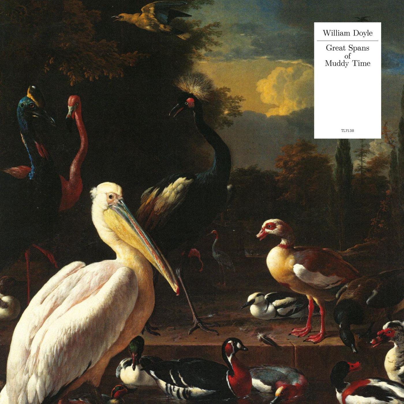 William Doyle - Great Spans Of Muddy Time (WHITE VINYL) | Vinyl