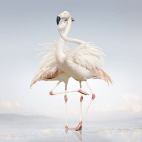 Rustie - Green Language | Vinyl