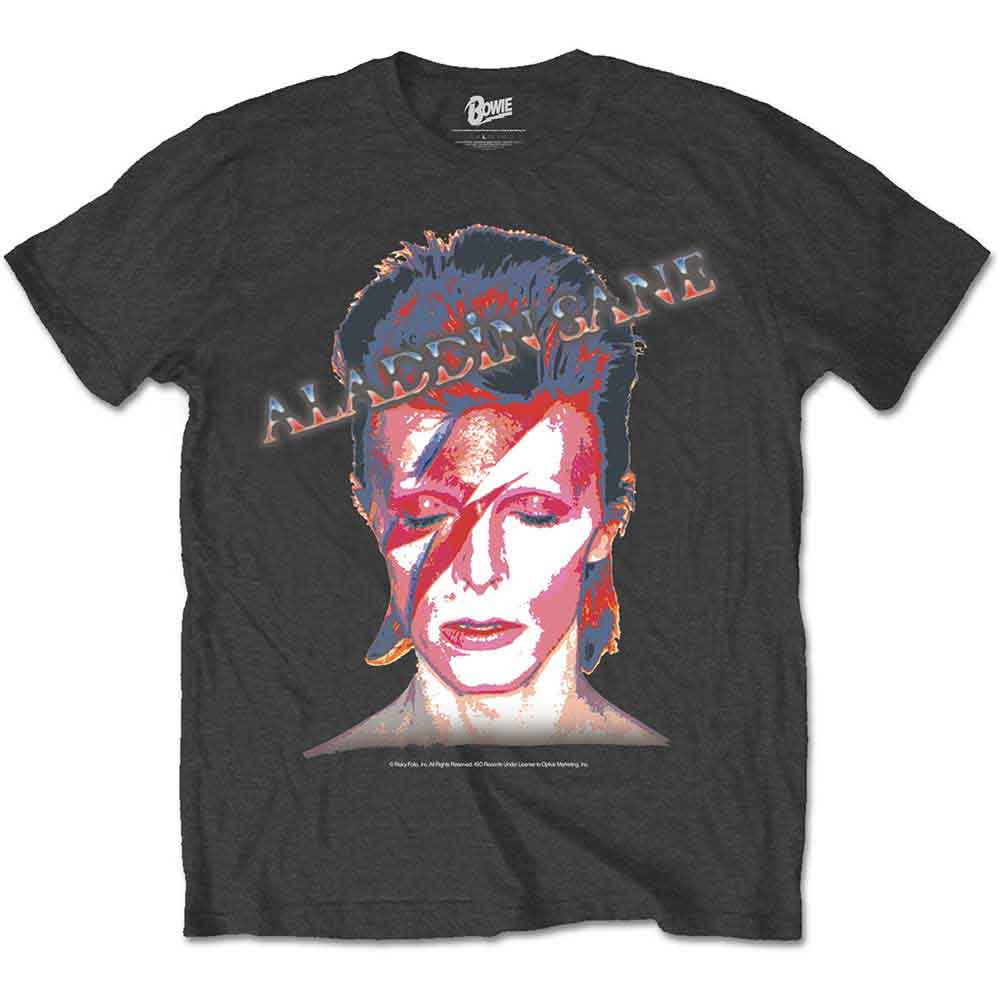 David Bowie - Aladdin Sane | T-Shirt Grey