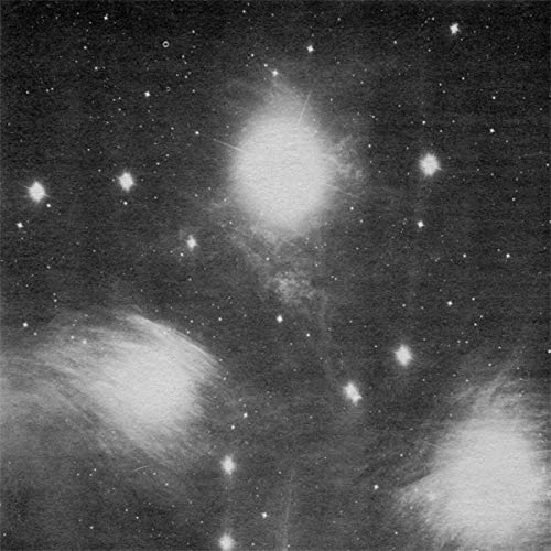 Grouper - AIA: Alien Observer | Vinyl