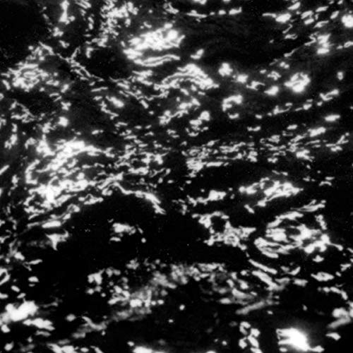 Grouper - AIA: Dream Loss | Vinyl