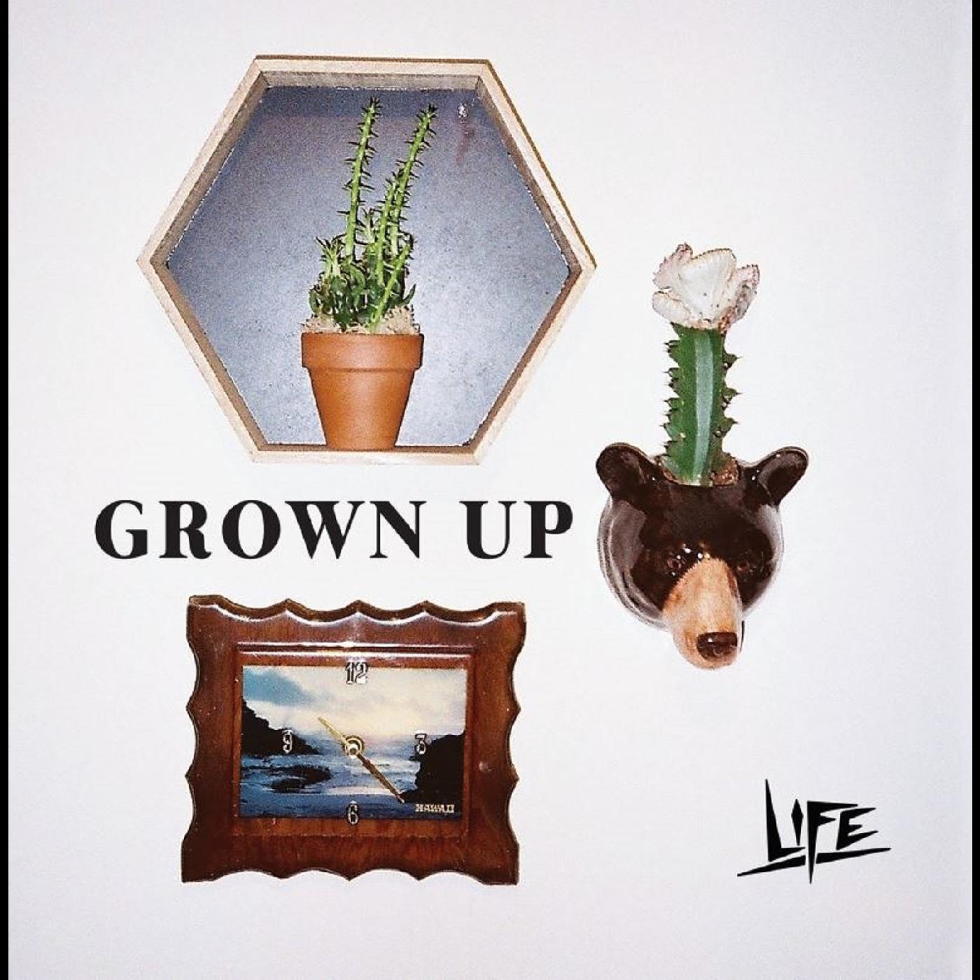 LIFE - Grown Up | Vinyl