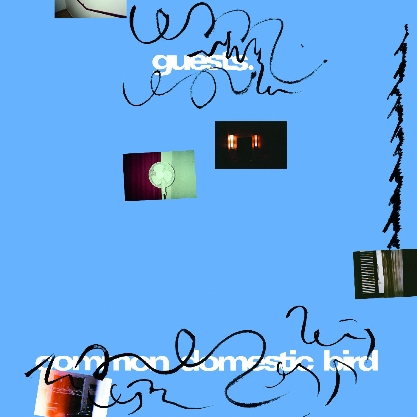 Guests - Common Domestic Bird | Vinyl