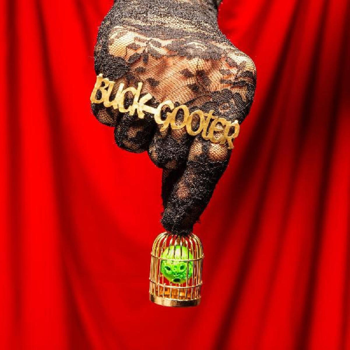 Buck Gooter - Head In A Bird Cage | Vinyl