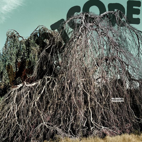 Wildbirds & Peacedrums - Heartcore | CD