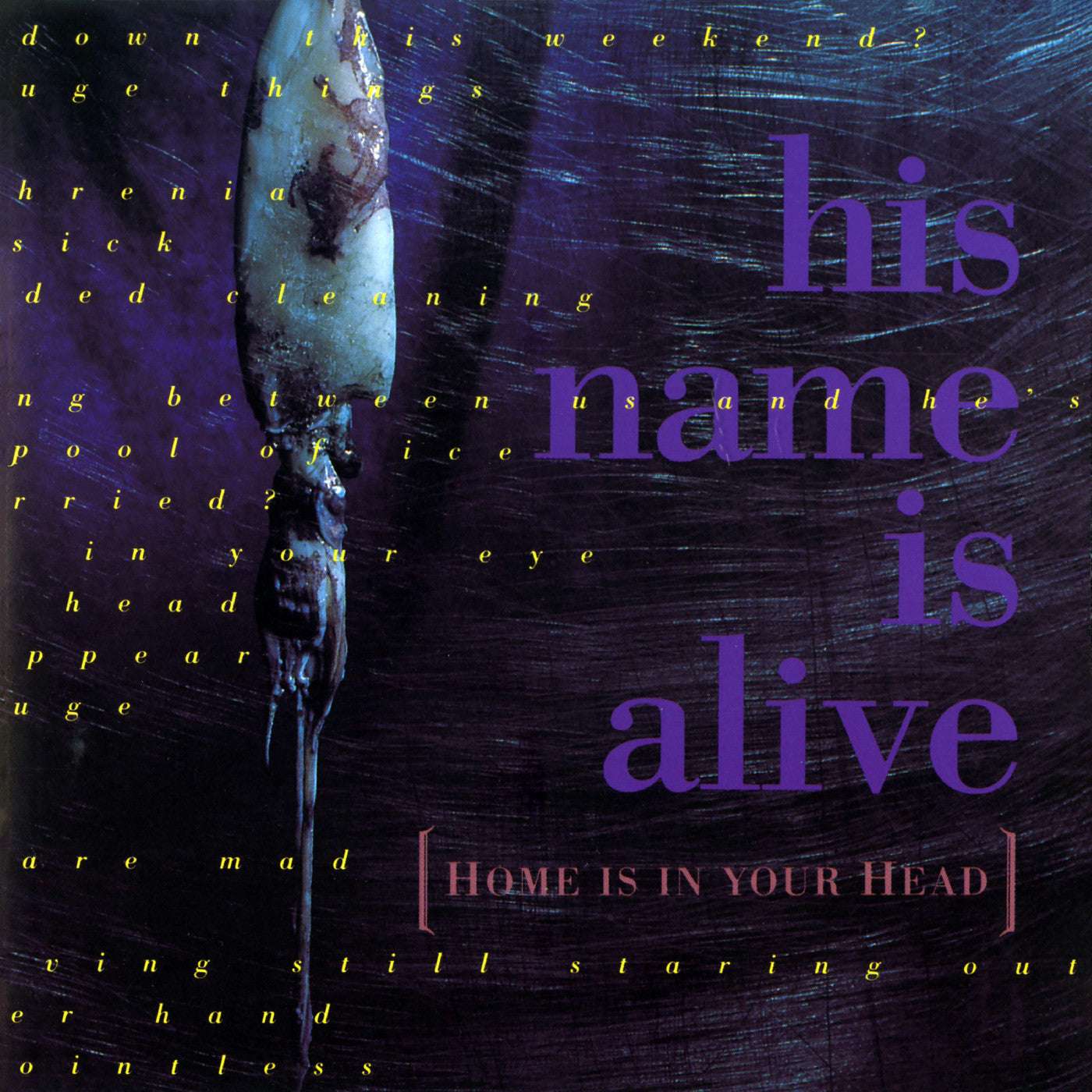 His Name Is Alive - Home Is In Your Head | CD