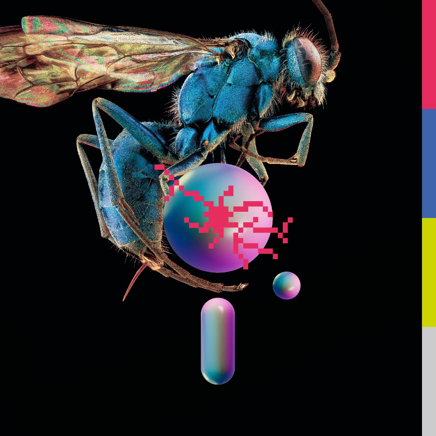 Teeth Of The Sea | Hive (BLUE VINYL) | Vinyl