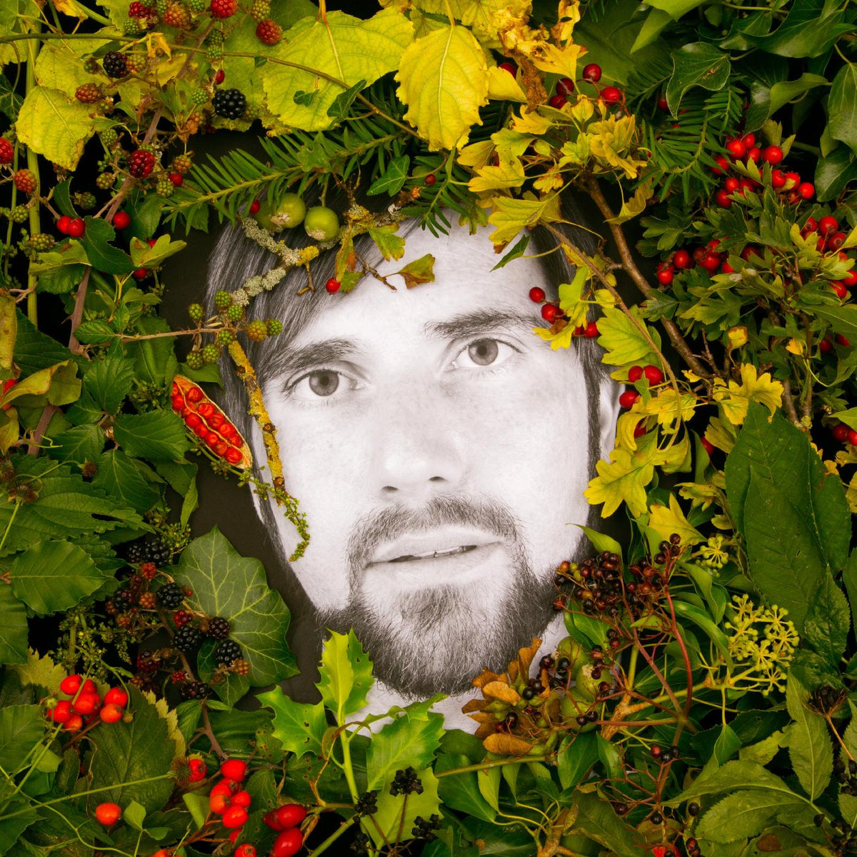 Mikey Collins - Hoick | CD