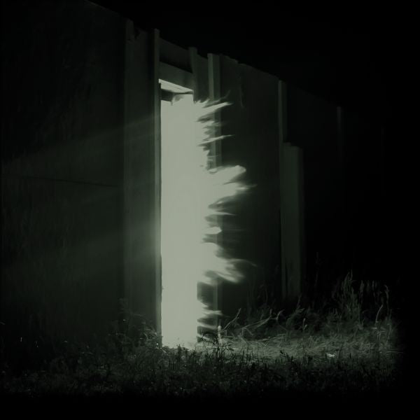 Fink - Horizontalism | CD