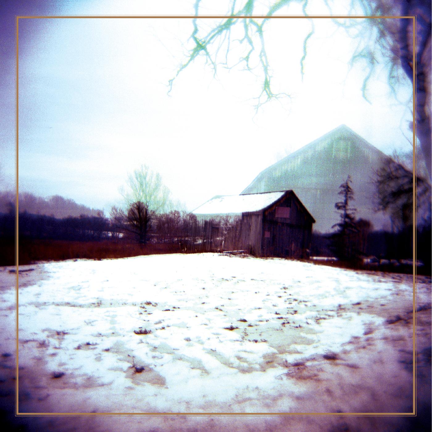 Horse Feathers - House With No Home (DELUXE EDITION, CLEAR BLUE WITH GRAY STREAKS VINYL) | Vinyl
