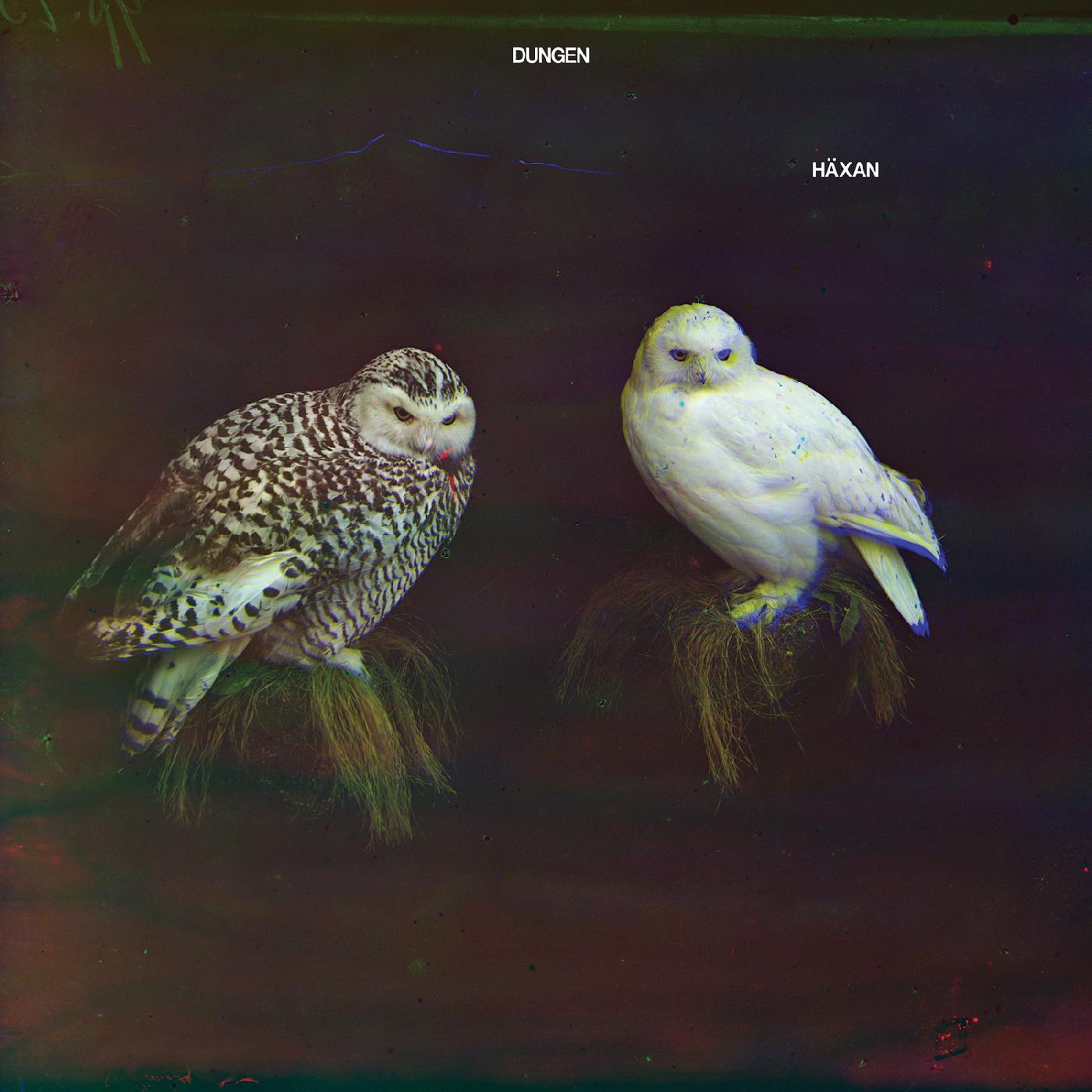 Dungen - H√§xan | CD