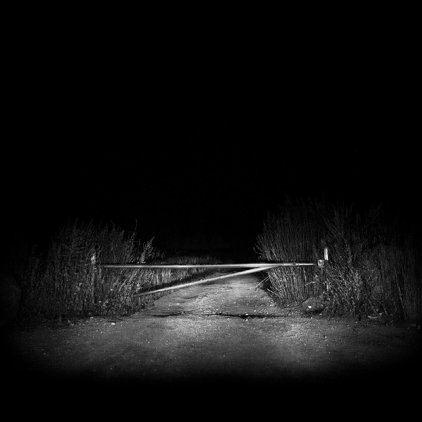 The Body - I Have Fought Against It, But I Can't Any Longer. | CD