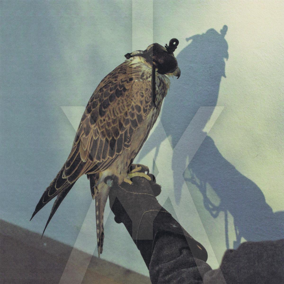 Iceage - You'Re Nothing | CD