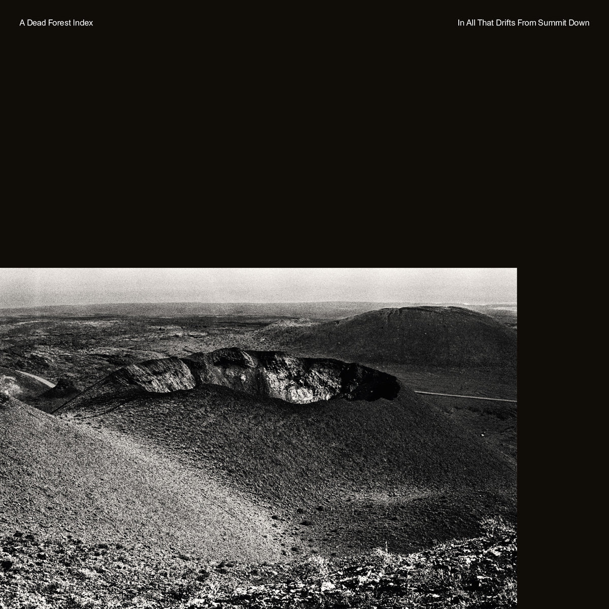 A Dead Forest Index - In All That Drifts From Summit Down | CD