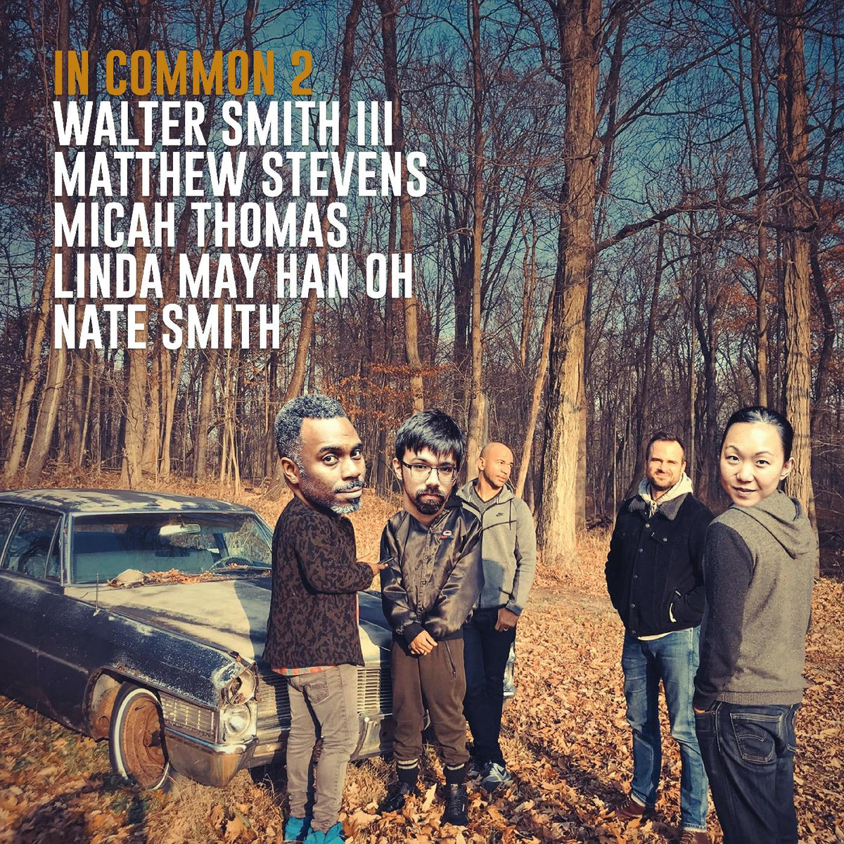 Walter & Matthew Stevens Smith III - IN COMMON 2 | Vinyl