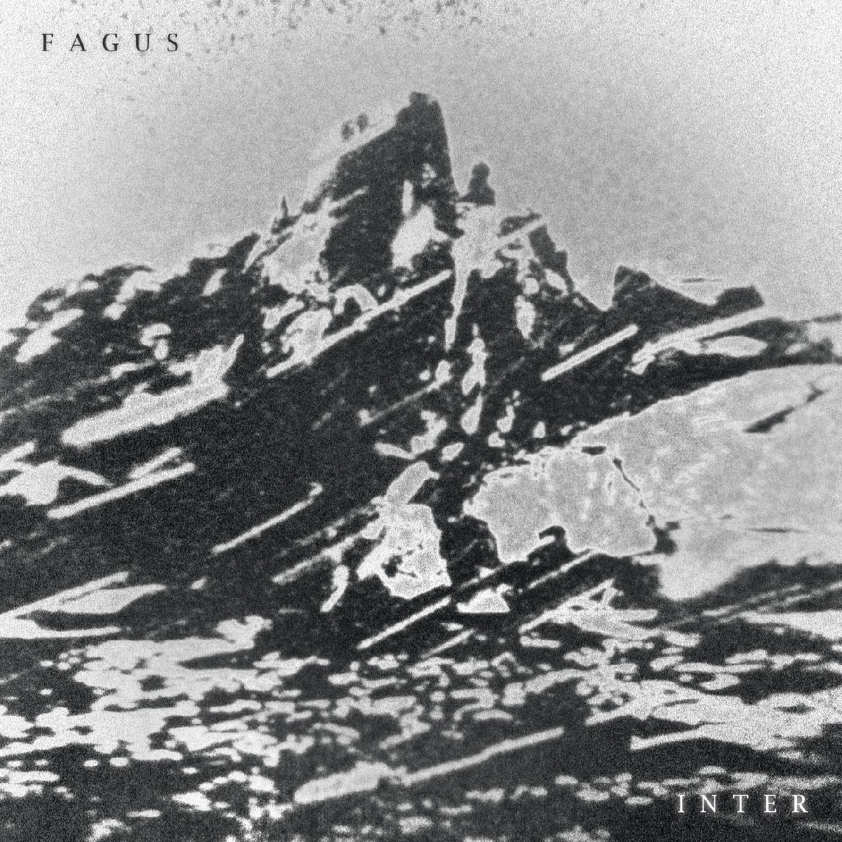 Fagus - Inter | CD