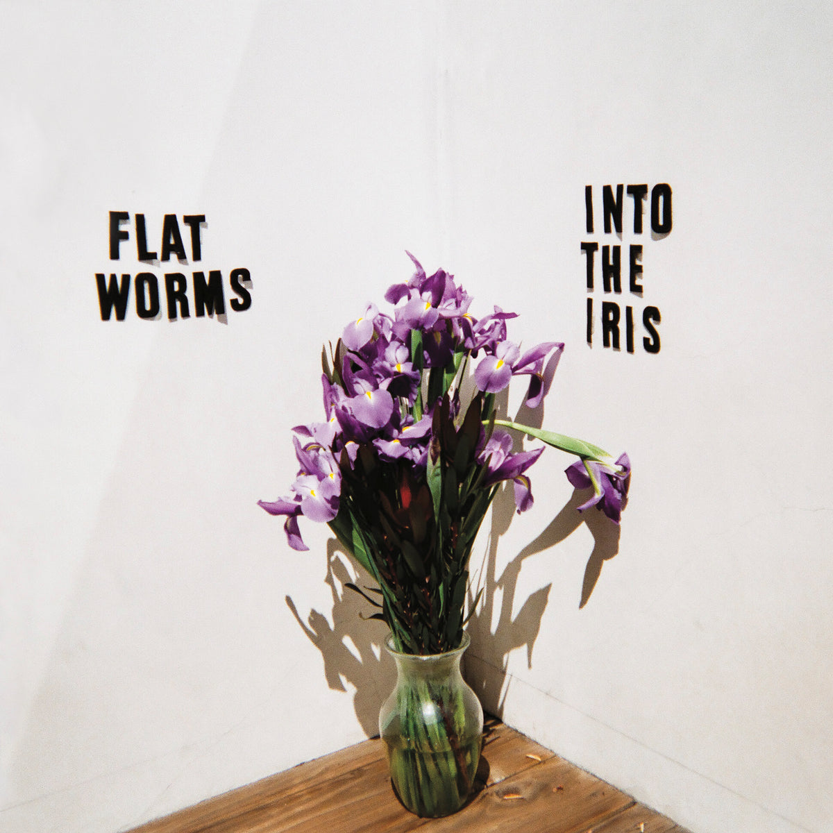 Flat Worms - Into The Iris | Vinyl