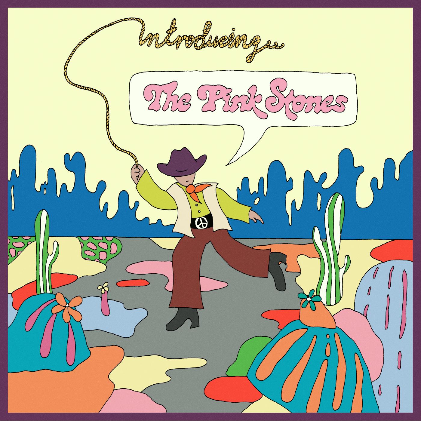 The Pink Stones - Introducing...The Pink Stones | CD