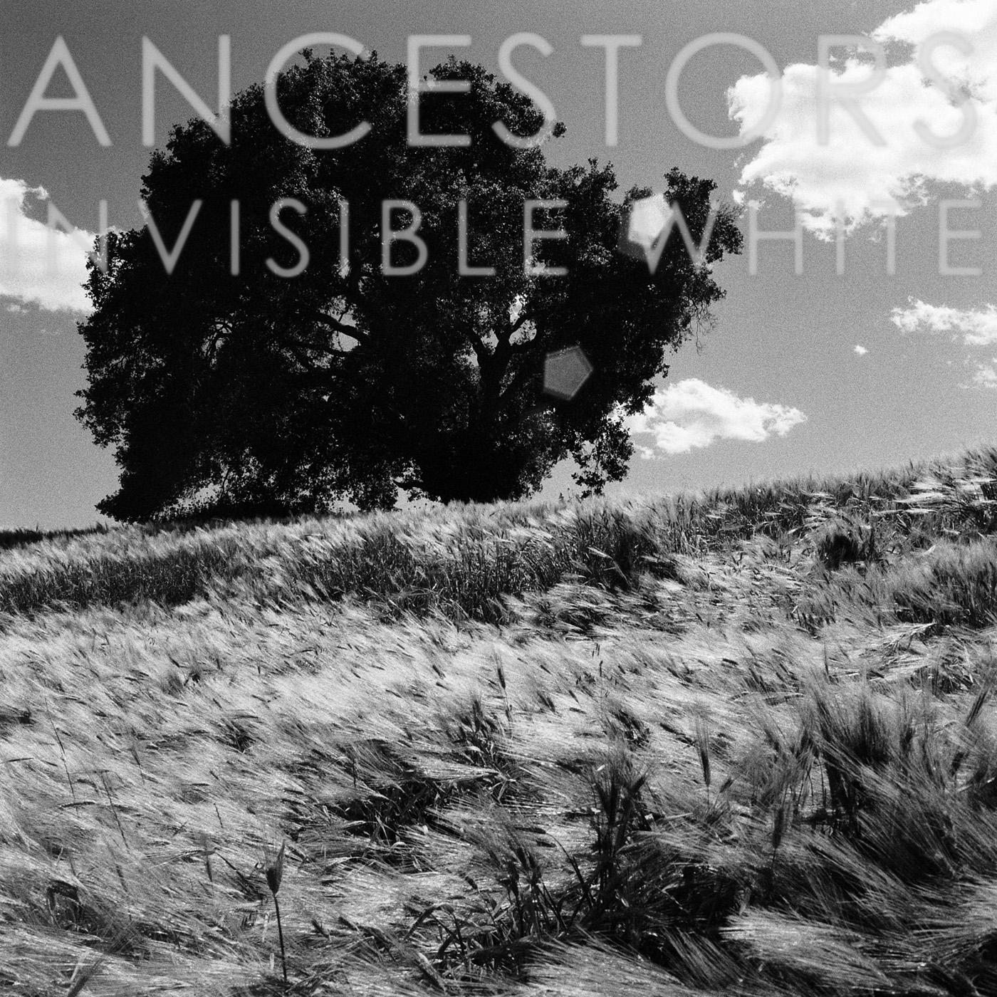 Ancestors - Invisible White (OPAQUE GRAY VINYL) | Vinyl