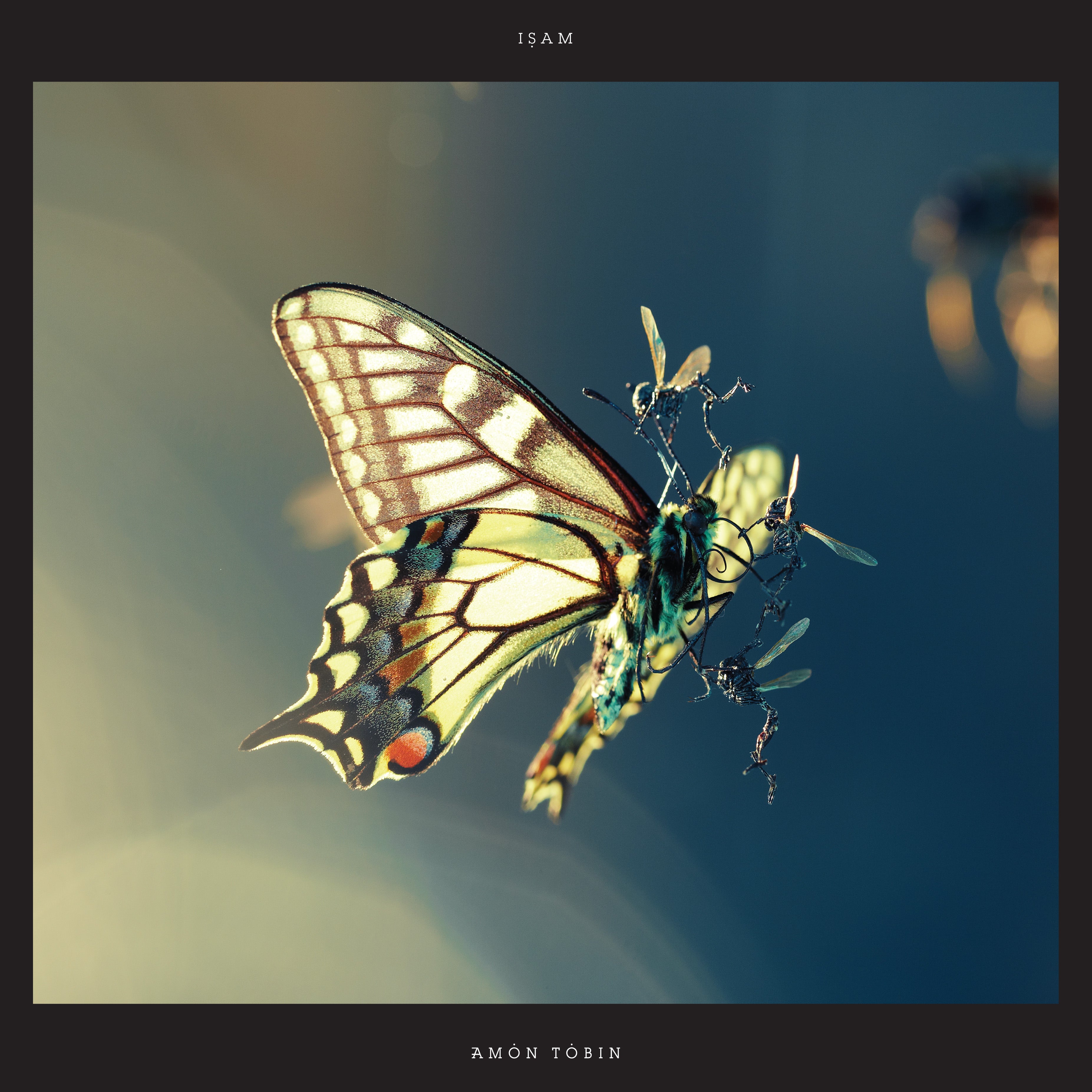 Amon Tobin - ISAM | CD