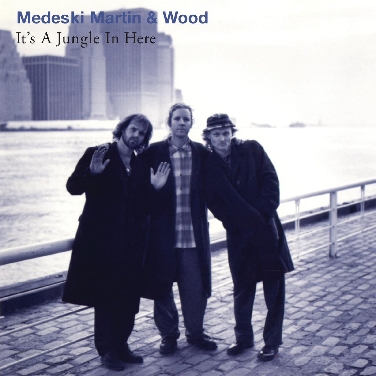 Martin & Wood Medeski - It's a Jungle in Here | Vinyl