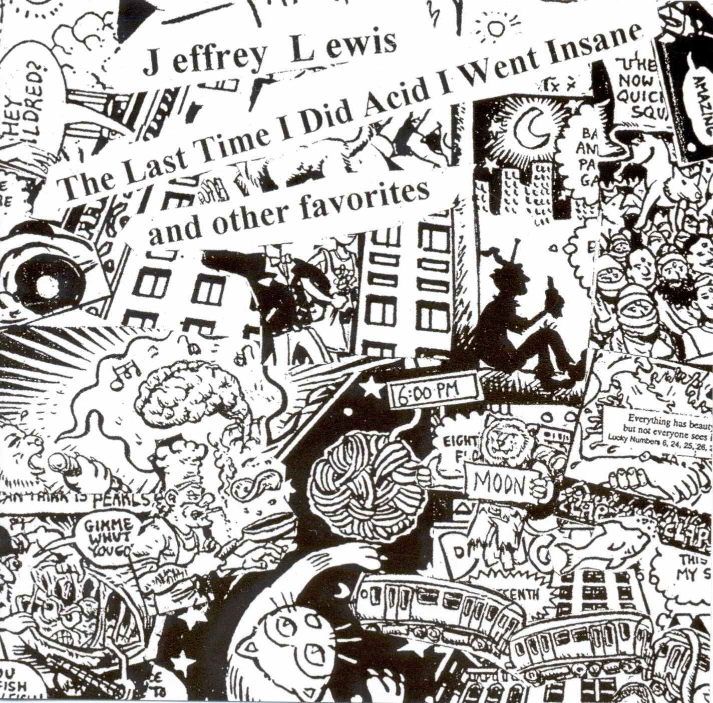 Jeffrey Lewis - The Last Time I Did Acid I Went Insane | Vinyl