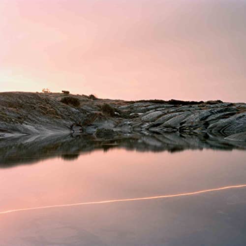 JENKINS, CASSANDRA - (An Overview on) An Overview on Phenomenal Nature | Vinyl