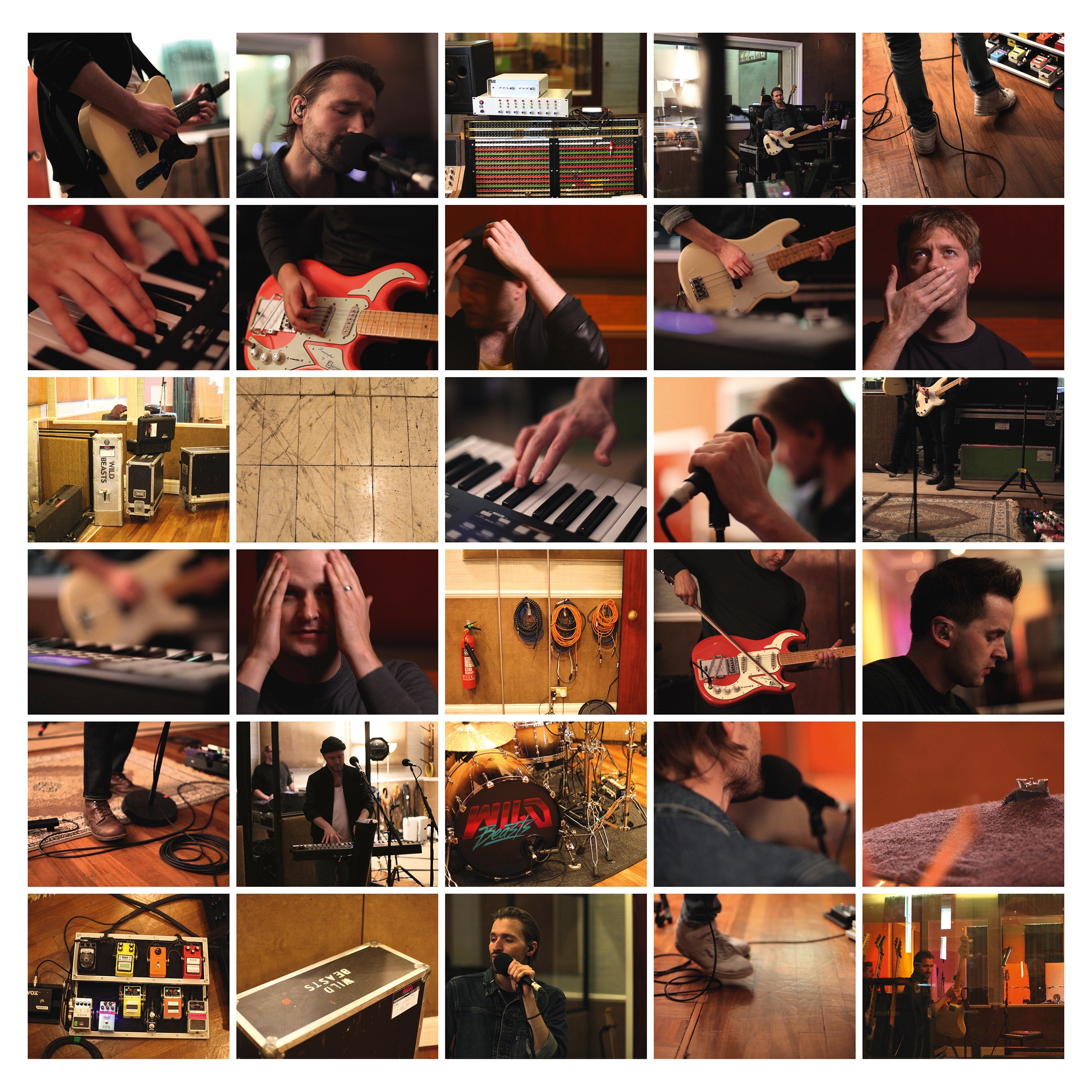 Wild Beasts - Last Night All My Dreams Came True | Vinyl